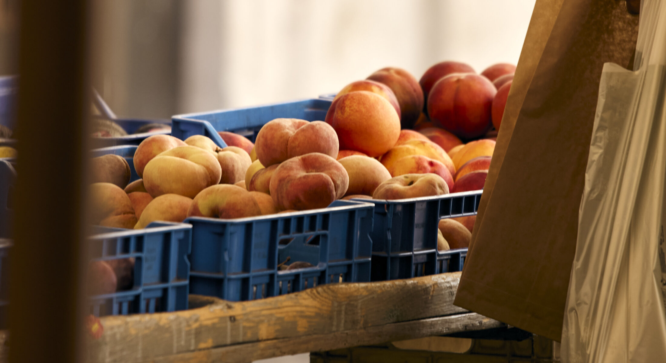 Palazzo delle Pietre slide_8